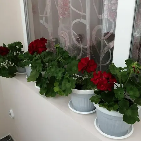 в сърцето на очаква прекрасен и просторен Apartman Várna