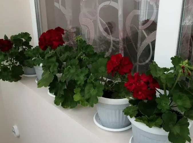 в сърцето на очаква прекрасен и просторен Appartement Varna